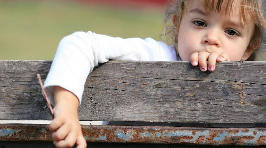 young girl looking over wooden fence