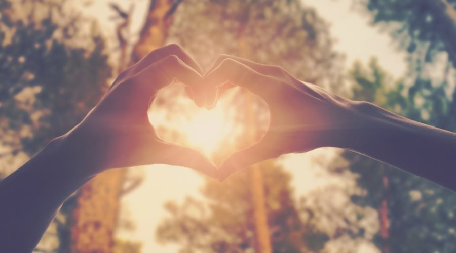 hands forming heart in front of trees